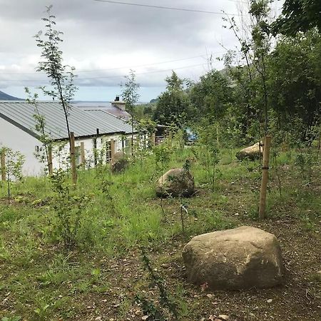 An Bothan-Cosy Cottage In The Cooley Mountains Dundalk Exterior photo