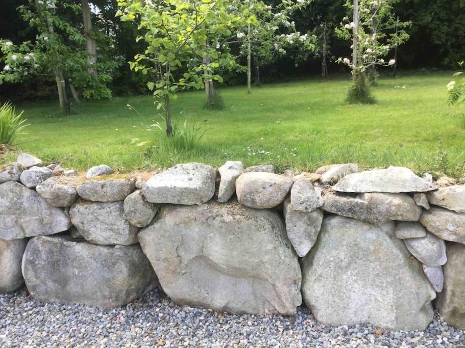 An Bothan-Cosy Cottage In The Cooley Mountains Dundalk Exterior photo
