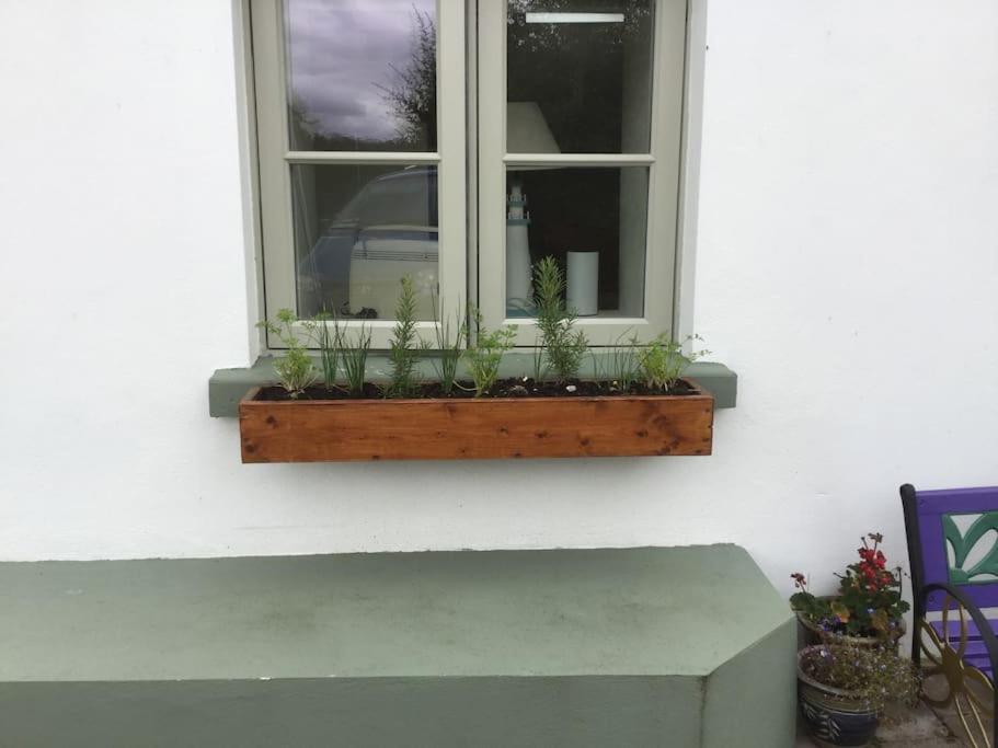 An Bothan-Cosy Cottage In The Cooley Mountains Dundalk Exterior photo